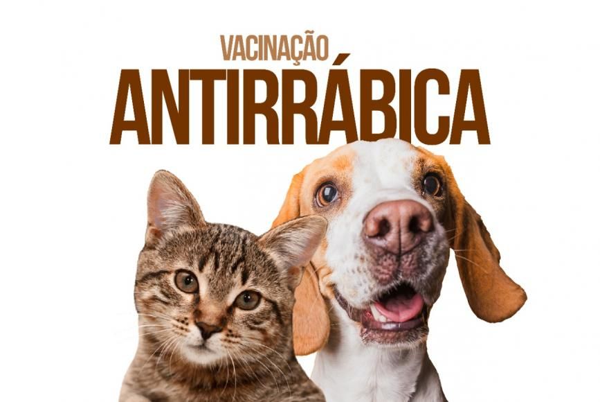 Calend&aacute;rio vacina&ccedil;&atilde;o antirr&aacute;bica